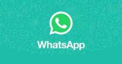 怎么把WhatsApp个人号变成商业账号?