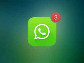 WhatsApp群组开发客户