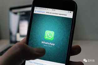 WhatsApp可以在网页上注册吗?