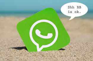 whatsapp如何添加好友?